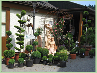 Gartencenter Otto Höllmüller Gartenpflanzen und Gartenartikel in großer Auswahl